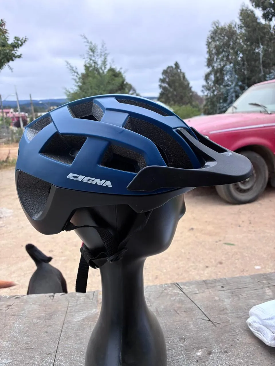 casco cigna azul